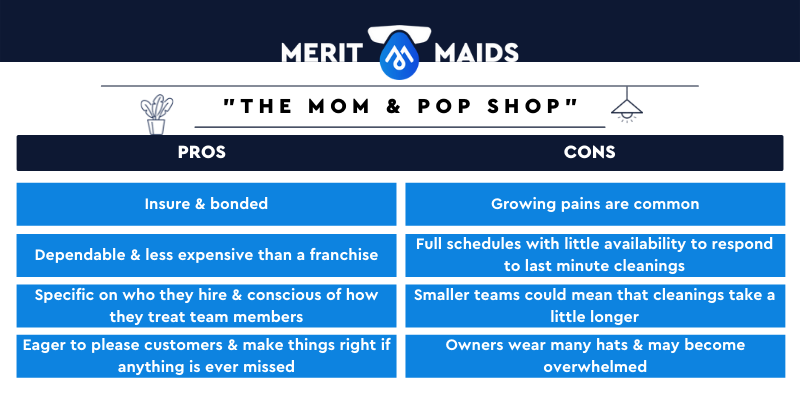 Merit_Maids_who-do-you-want-to-clean-your-home-graphics-2
