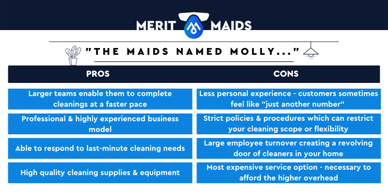 Merit_Maids_who-do-you-want-to-clean-your-home-graphics-3